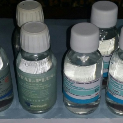 Nembutal Pentobarbital sodium drinkable solution